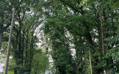 FW-GE: Busunfall auf der Ostpreußenstraße – Fahrer schwer verletzt