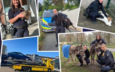 POL-BO: Rückblick 2025: Neun verrückte Polizeigeschichten aus Bochum, Herne und Witten