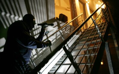 POL-ME: Einbrüche aus dem Kreisgebiet – 2512062