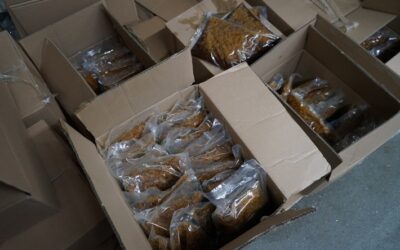 POL-E: Mülheim an der Ruhr: Überreste einer Cannabisplantage auf Parkplatz entsorgt – Zeugen gesucht