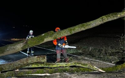FW Ense: Baum auf Fahrbahn