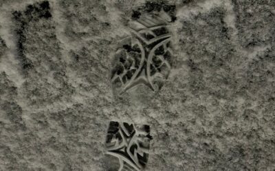 POL-HAM: Polizisten als Fährtenleser – Festnahme nach versuchtem Einbruch