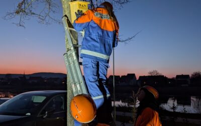 FW Beverungen: Jugendfeuerwehr Herstelle engagiert sich im Naturschutz / Zwölf Vogelnisthilfen für die heimische Natur