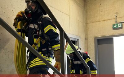 FW-LEV: Küchenbrand, eine Person gerettet