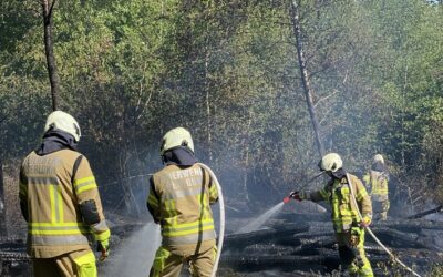 FW-MK: Waldbrand auf der Rauhen Hardt