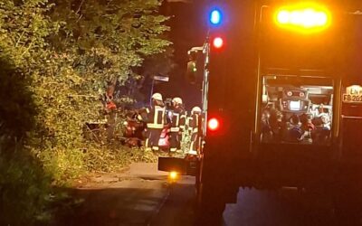 FW-EN: Technische Hilfeleistung – Baum auf Straße