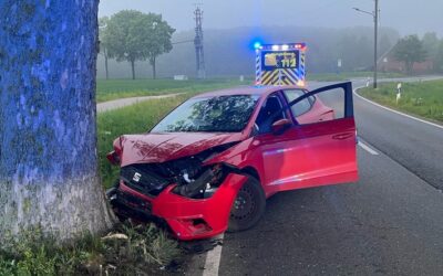 POL-BI: Betrunkener Fahrer fährt vor einen Baum