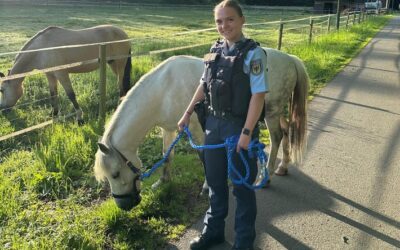 BPOL NRW: Pony steht auf Bahnübergang – Ein nicht ganz alltäglicher Einsatz für die Bundespolizei