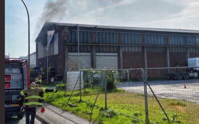 FW-NE: Feuer in einer Lagerhalle | Frühzeitiger Notruf verhindert Großbrand