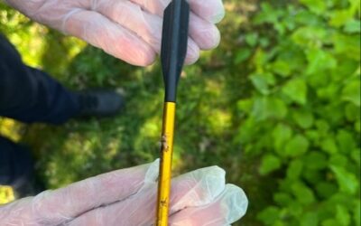 POL-KLE: Kleve – Taube am Naturpark in Kellen getötet aufgefunden / Polizei stellt Armbrustpfeil sicher