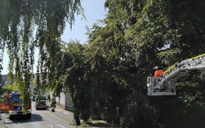 FW-EN: Wetter – bisher neun Einsätze am heißesten Wochenende des Jahres