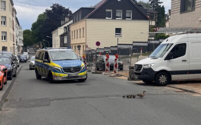 POL-HA: Ungewöhnlicher Einsatz: Polizei rettet Entenfamilie