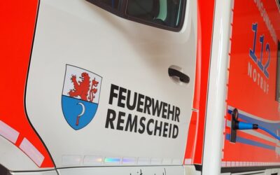 FW-RS: Außergewöhnlich hohes Einsatzaufkommen im Rettungsdienst