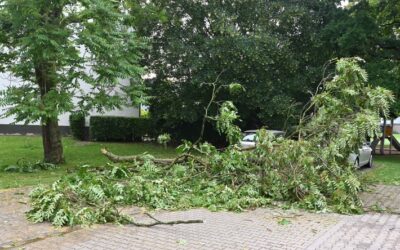 FW Pulheim: Hitzegewitter bringt Sturmböen nach Pulheim
