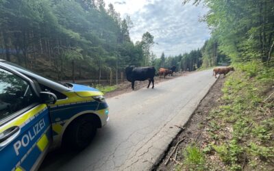 POL-MK: Tierisch viel los