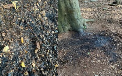 POL-VIE: Viersen-Beberich: Brand in einem Waldstück – Zigarettenkippe gefunden