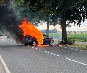 POL-REK: 260721-1: Auto prallte gegen Baum und brannte