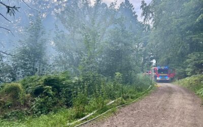 FW Hagen: Vegetationsbrand in Waldgebiet Ortsteil Hagen – Hohenlimburg