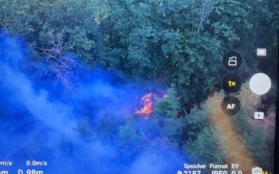 FW-PL: Ortsteil Tanneneck – Waldbrand fordert viele Einsatzkräfte