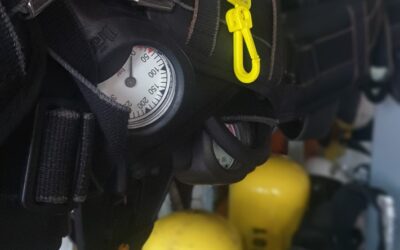 FW-RS: Wohnungsbrand in Wohn- und Geschäftsgebäude – eine Person gerettet