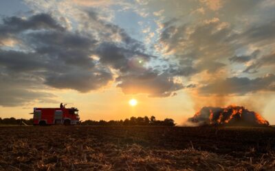 FW-MH: Flächenbrand in Menden-Holthausen