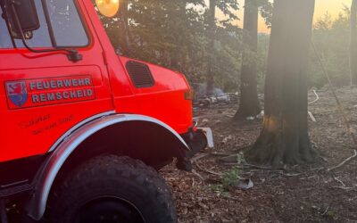 FW-RS: Waldbrand Westerholt