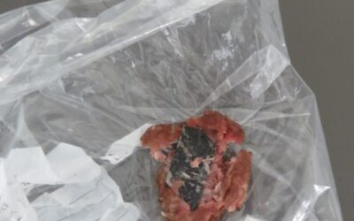 POL-MK: Erneut Hundeköder mit Rasierklinge gefunden