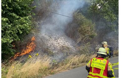 FW-GLA: Flächenbrand an der BAB 2 fordert umfangreichen Feuerwehreinsatz
