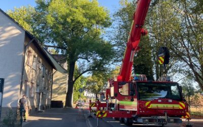FW-DO: Ast auf Hausdach sorgt für aufwendigen Feuerwehreinsatz in Dortmund-Husen