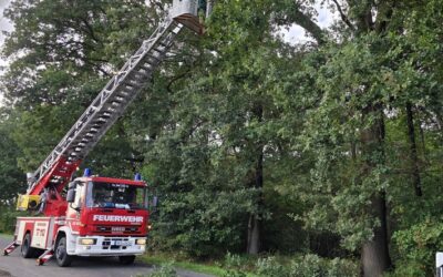 FW Hünxe: Baumkrone droht abzustürzen