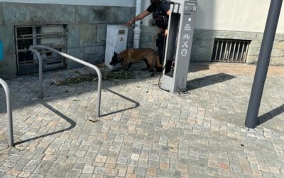 POL-SI: Polizeidiensthund Freya erfolgreich bei Suche nach Drogenverstecken – #polsiwi