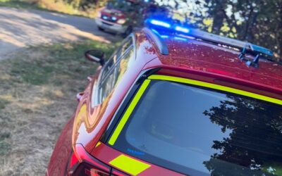 FW Kranenburg: Flächenbrand entpuppt sich als Weltkriegsmunition – Eine Person verletzt
