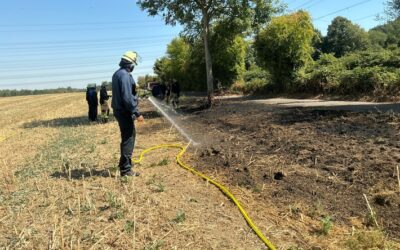 FW-E: Vegetationsbrand auf Stoppelfeld in Essen-Leithe – Feuerwehr verhindert Brandausbreitung