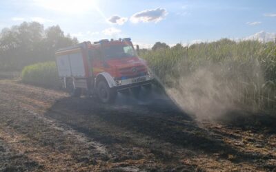 FW Bad Oeynhausen: Flächenbrand zwischen Werre Park und Werre