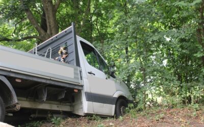 POL-MI: Offenbar ungesichertes Fahrzeug rollt gegen Baum